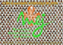 un kaléidoscope des nombreux participants à cette fête